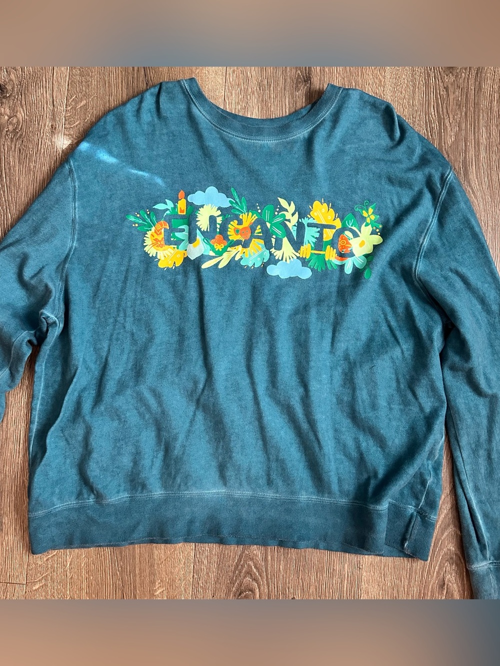 Disney Encanto Sweatshirt Size XL